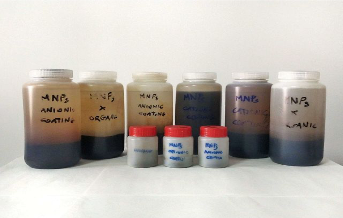 First batches of the Magnetic Nanoparticles