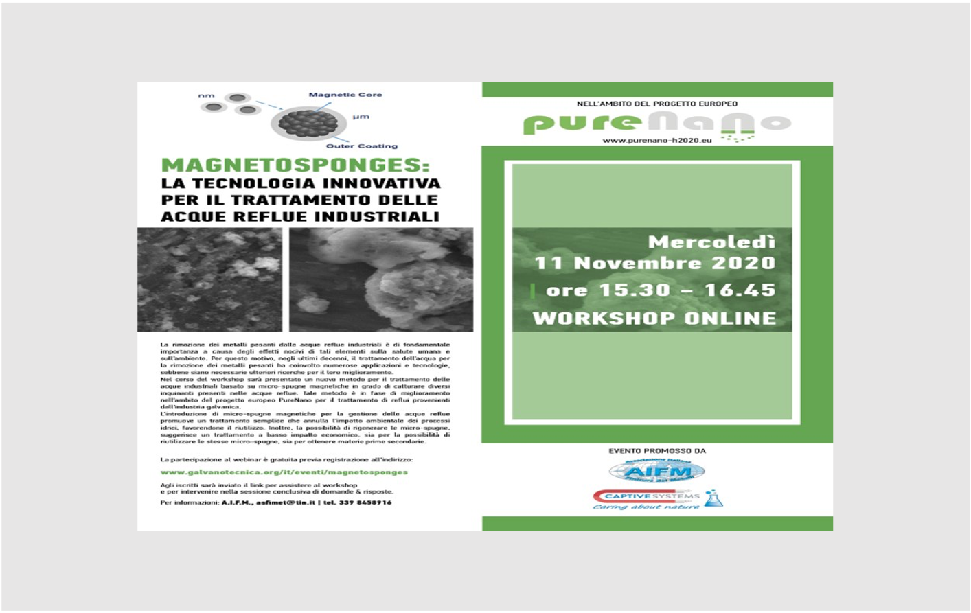 PureNano presented at  the online Magnetosponges Workshop, 11 November 2020