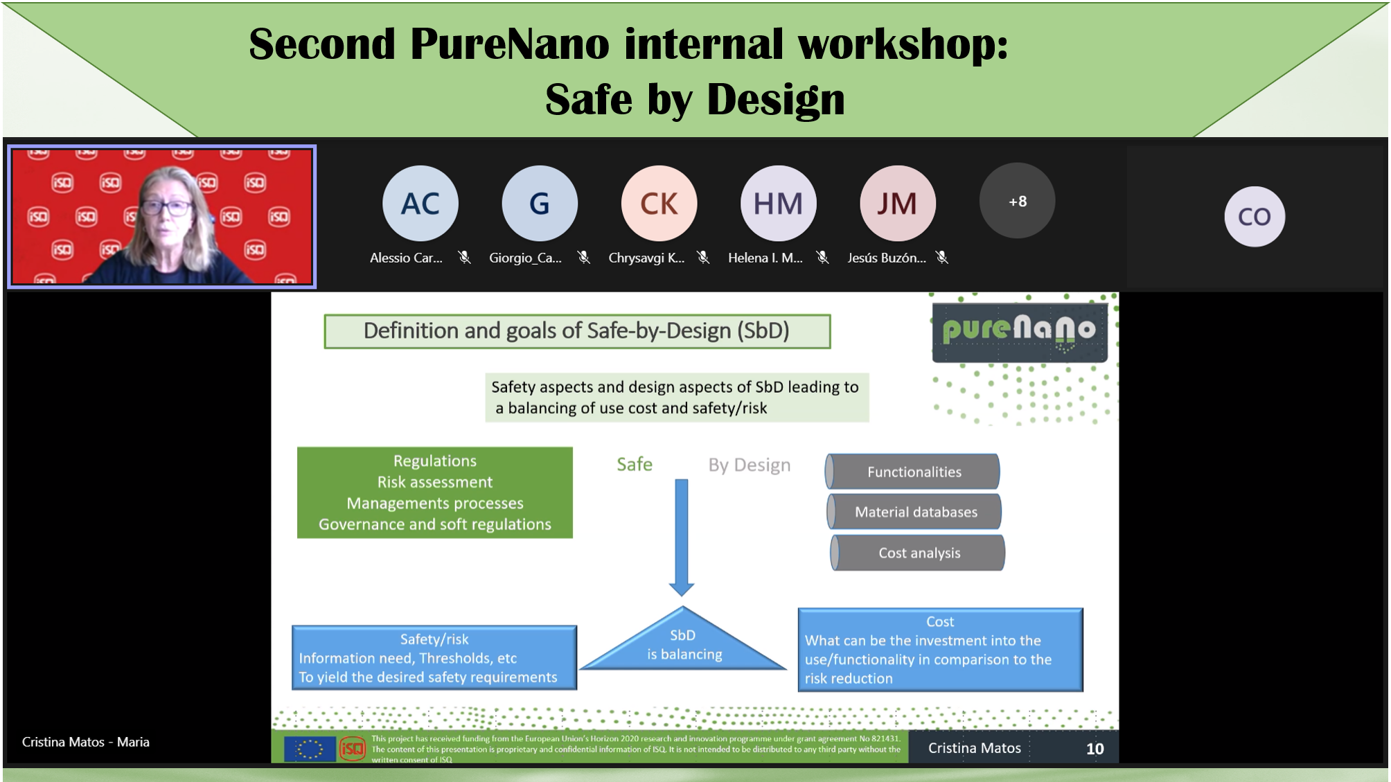 2nd PureNano internal workshop: Safe by Design